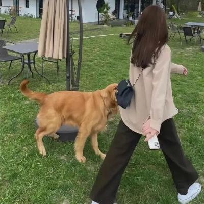宋飞之前是杰瑞